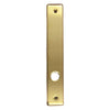 Andersen Anvers Style (Passive-Panel) Interior Escutcheon Plate in Bright Brass finish | windowpartshop.com.